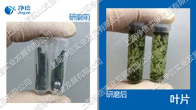 多樣品組織研磨機-48